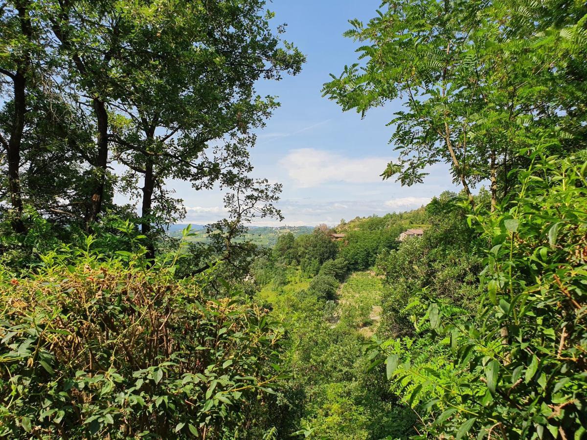 Agriturismo Il Burlino Apartments Lerma Εξωτερικό φωτογραφία