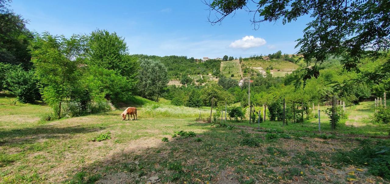 Agriturismo Il Burlino Apartments Lerma Εξωτερικό φωτογραφία