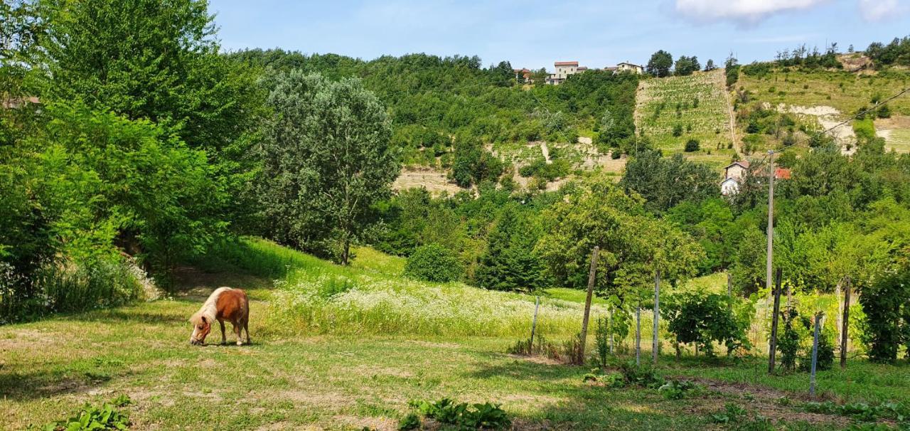 Agriturismo Il Burlino Apartments Lerma Εξωτερικό φωτογραφία