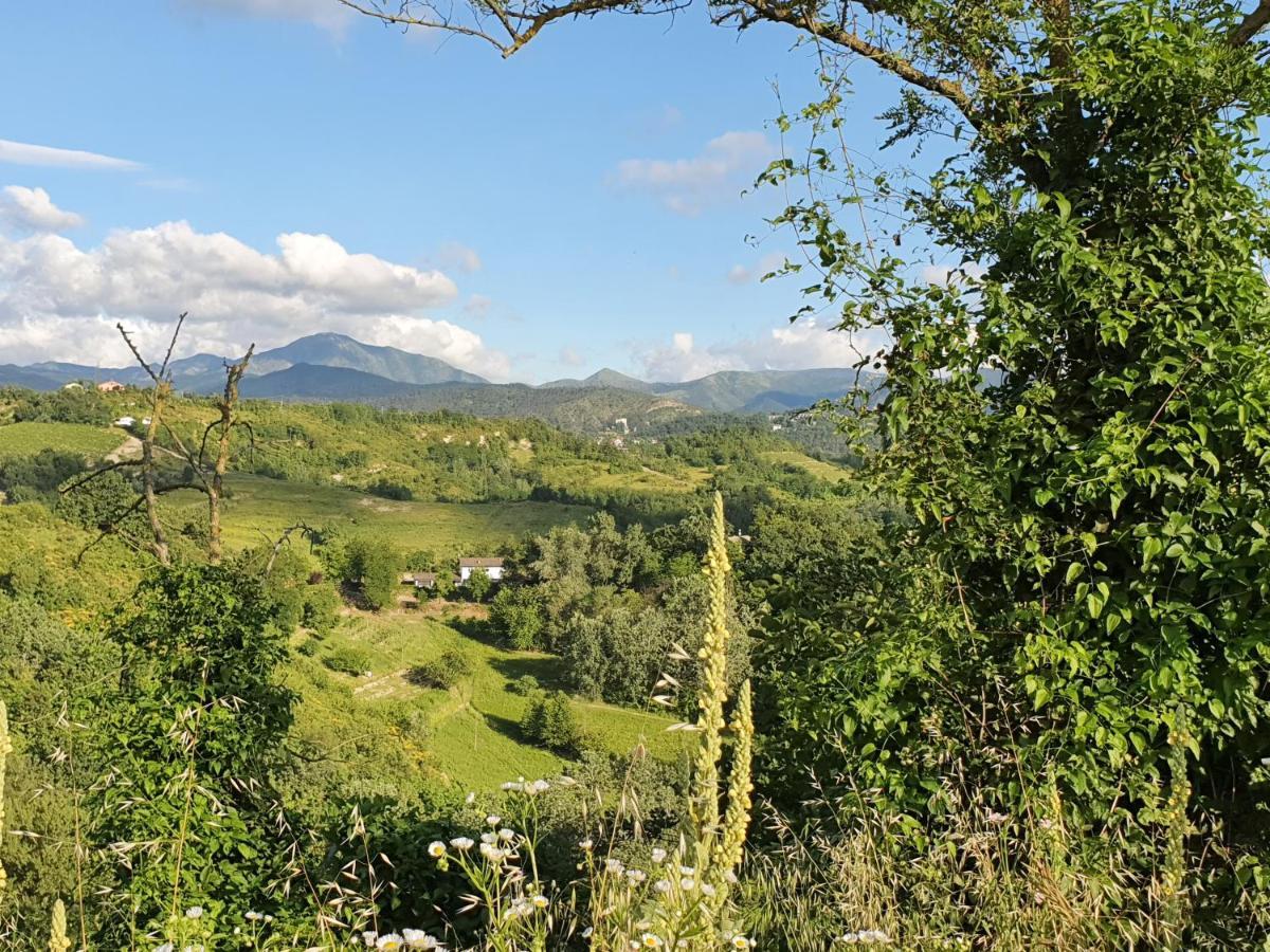 Agriturismo Il Burlino Apartments Lerma Εξωτερικό φωτογραφία