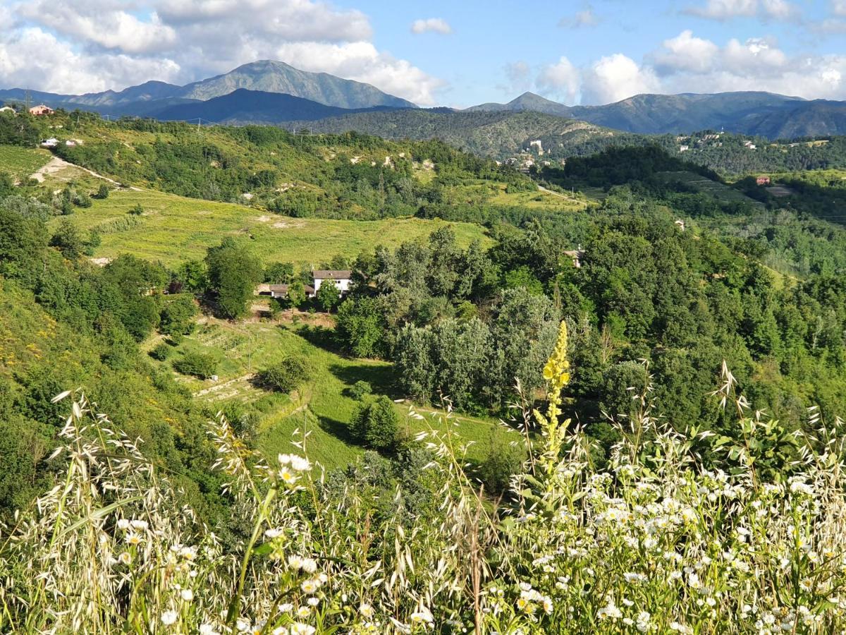 Agriturismo Il Burlino Apartments Lerma Εξωτερικό φωτογραφία